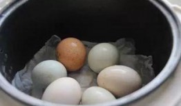 爆料餐馆蒸蛋视频大全,视频大全大公开