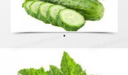 新黄瓜最新爆料图片大全,最新爆料图片大全大揭秘！”